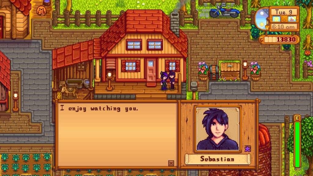 Stardew Valley Sebastian, Stardew Valley Sebastian schedule, Stardew Valley Sebastian gifts, Stardew Valley Sebastian daily life cycle