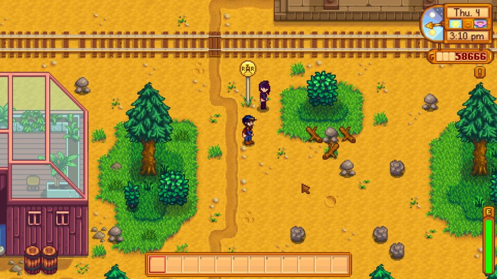 Stardew Valley Sebastian, Stardew Valley Sebastian schedule, Stardew Valley Sebastian gifts, Stardew Valley Sebastian daily life cycle
