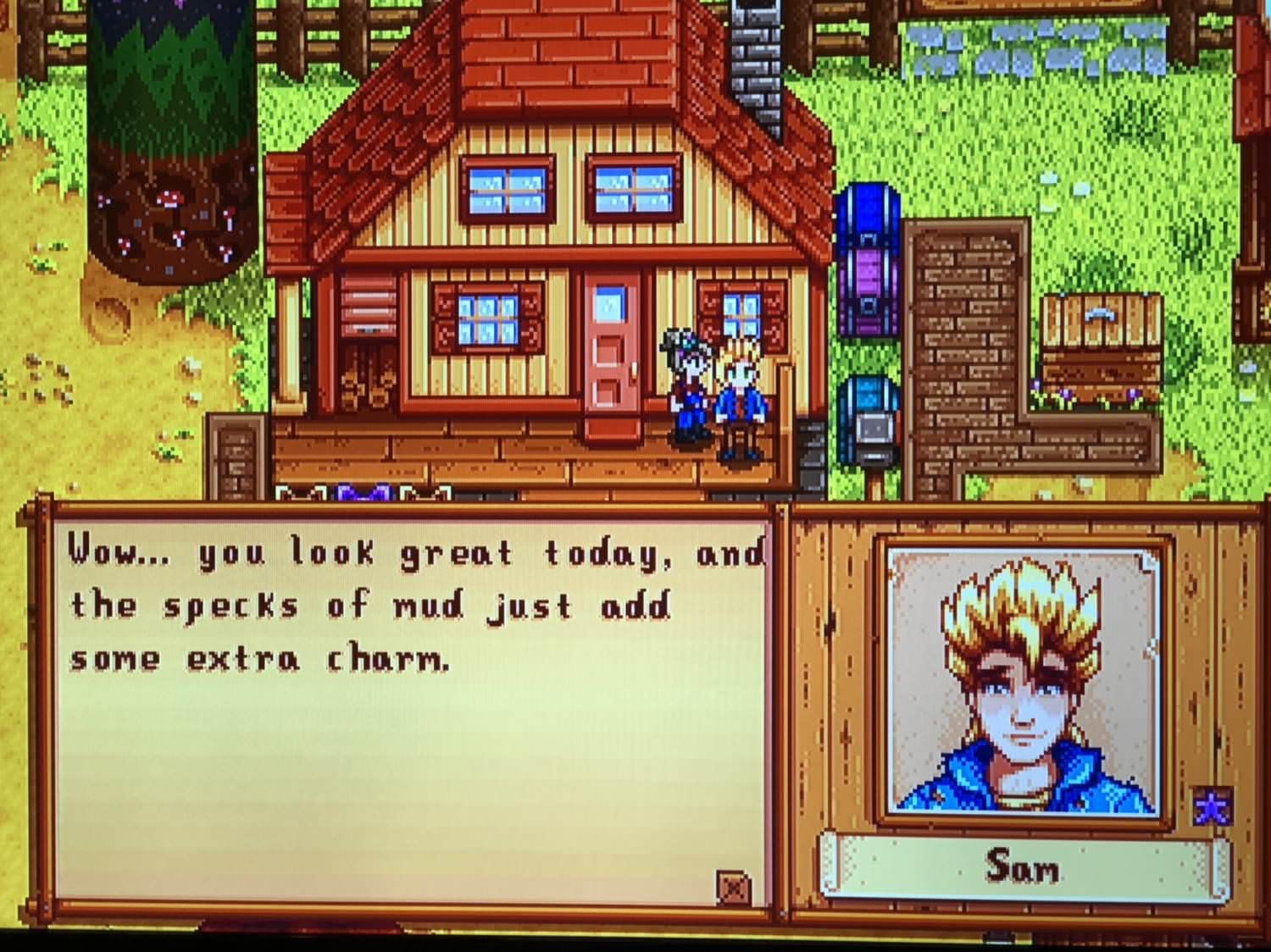 Stardew Valley sam