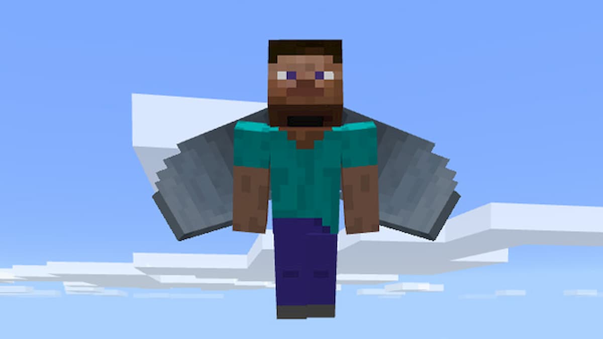Minecraft Elytra