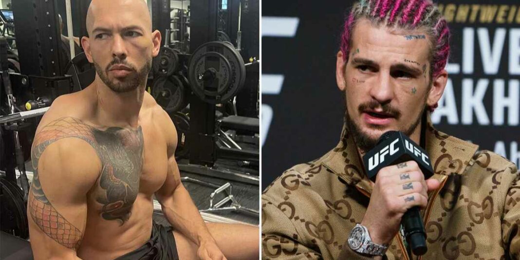 Andrew Tate MMA: Did Andrew Tate Took Part In MMA?