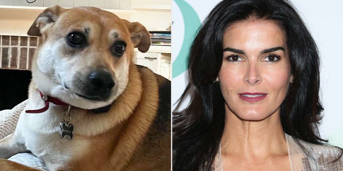 Angie Harmon
