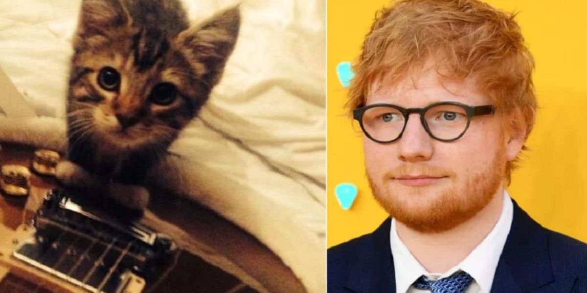 Ed Sheeran
