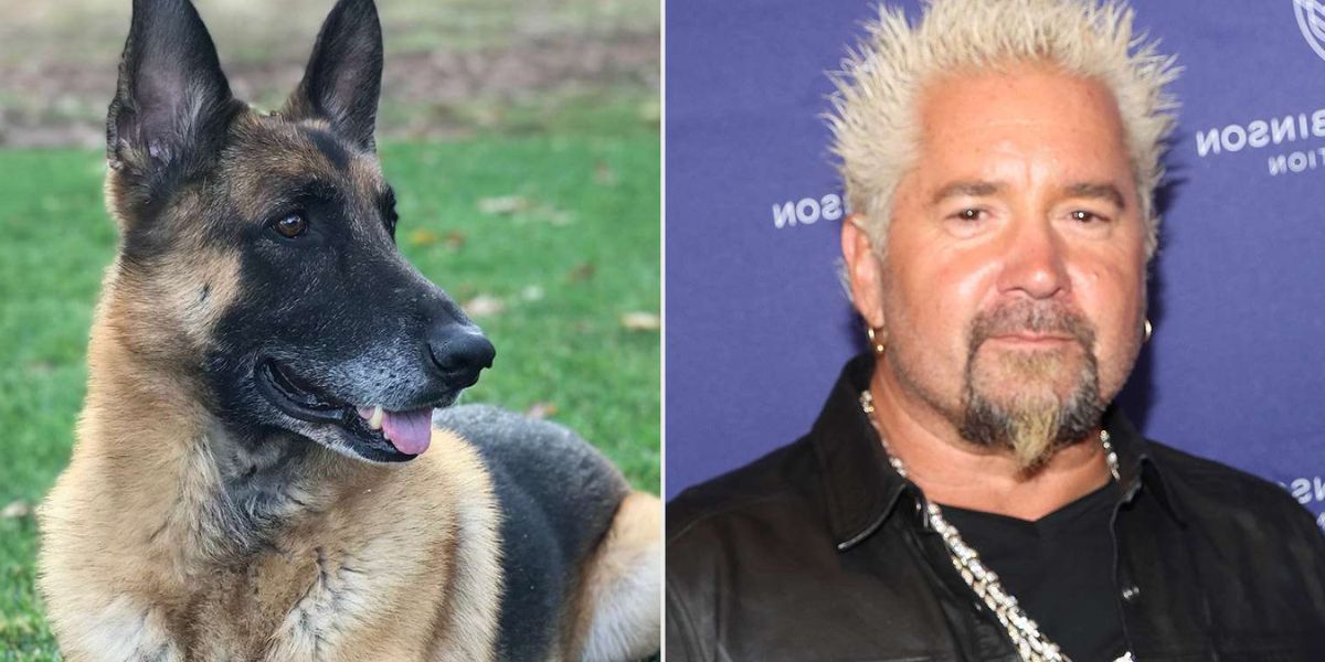 Guy Fieri