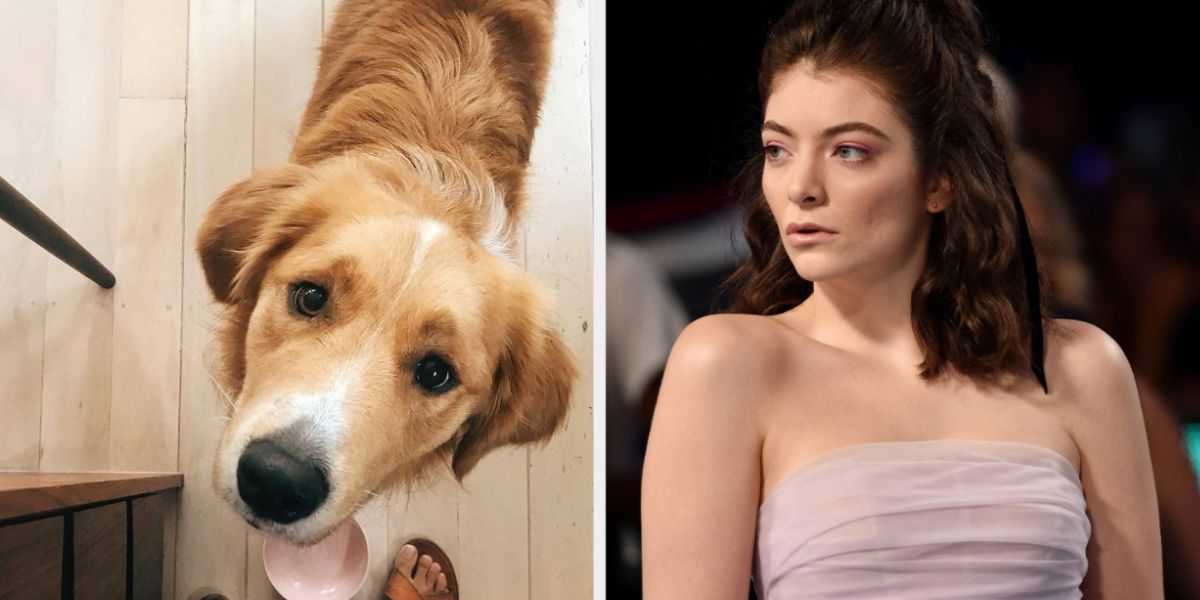 Lorde