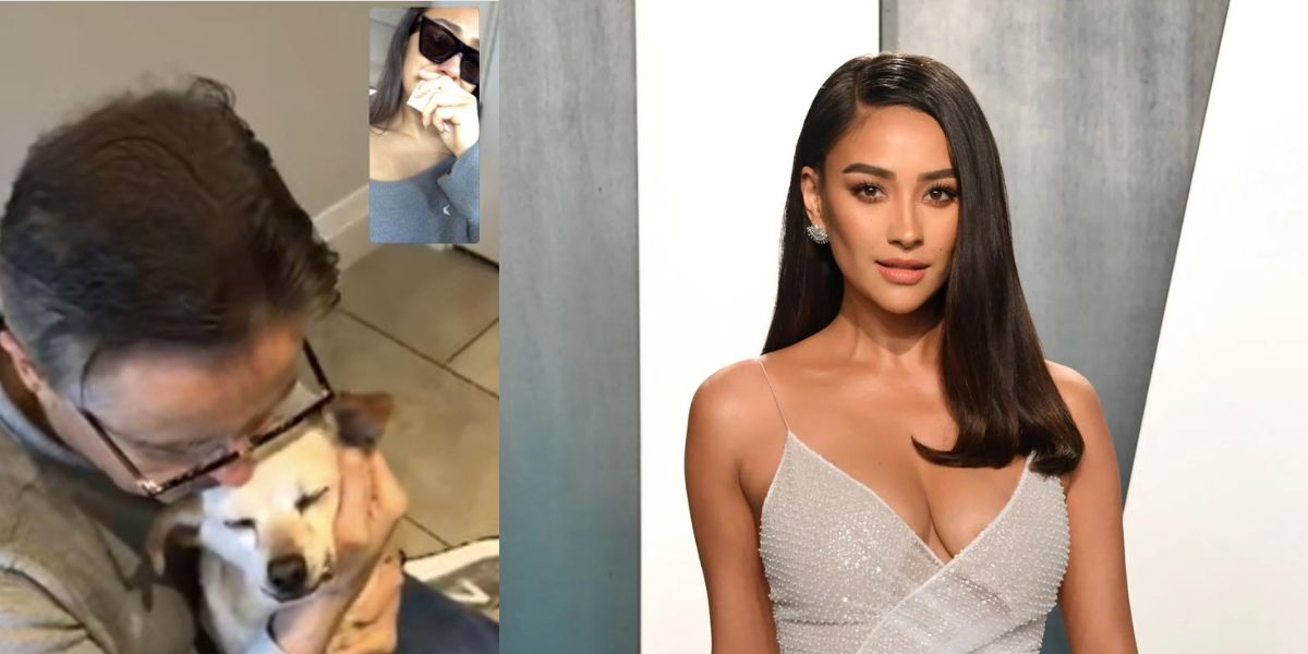 Shay Mitchell