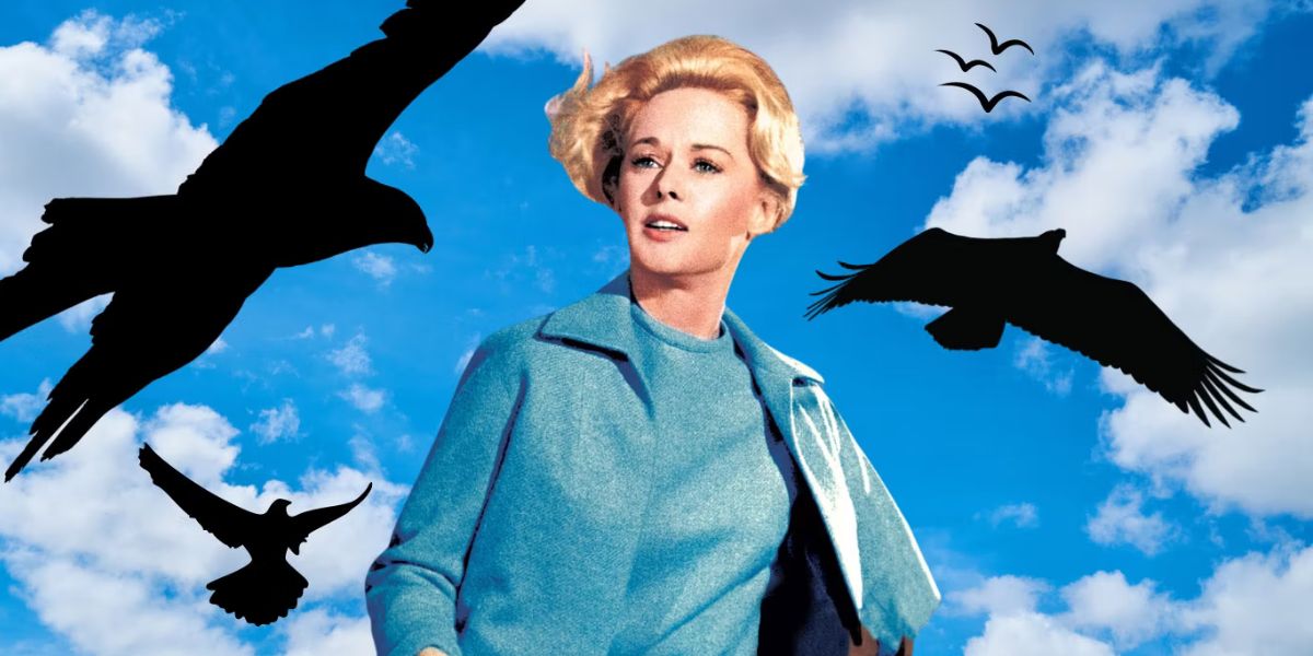 The Birds