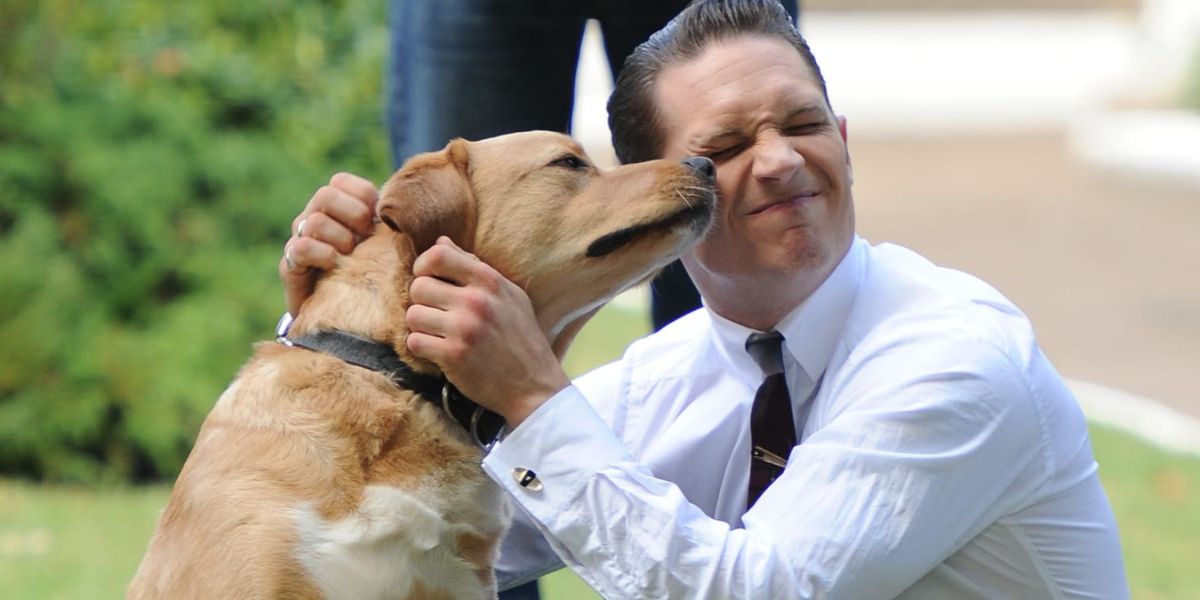 Tom Hardy