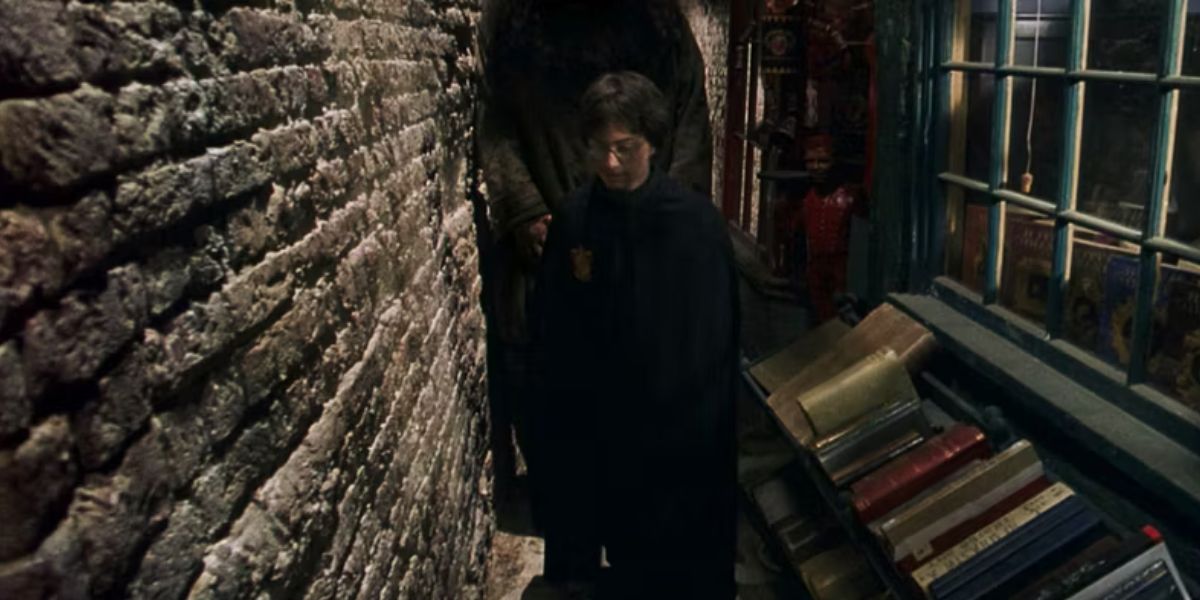 Harry Potter Novels Kept In A Window Display In Knockturn Alley