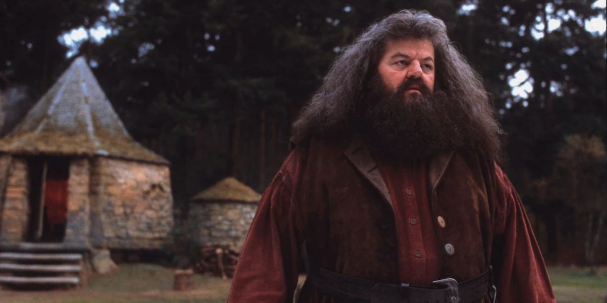 Rubeus Hagrid