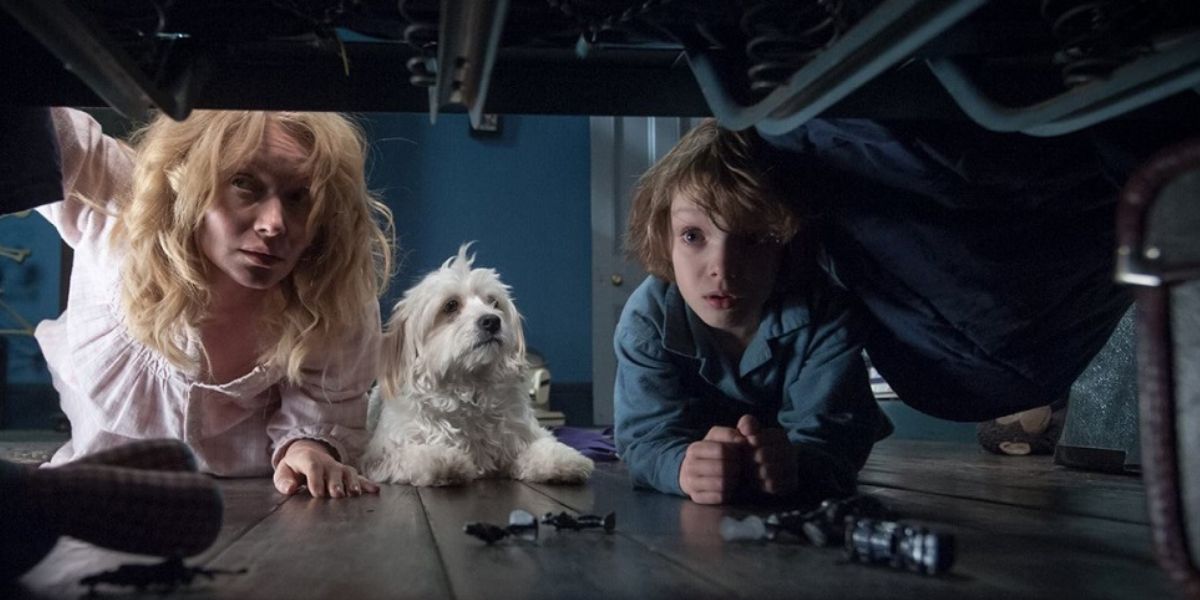 The Babadook (2014)